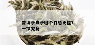 普洱茶白茶哪个口感更佳？一探究竟