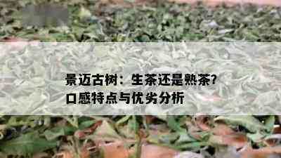 景迈古树：生茶还是熟茶？口感特点与优劣分析