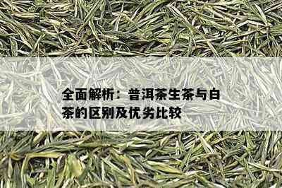 全面解析：普洱茶生茶与白茶的区别及优劣比较