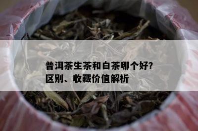 普洱茶生茶和白茶哪个好？区别、收藏价值解析