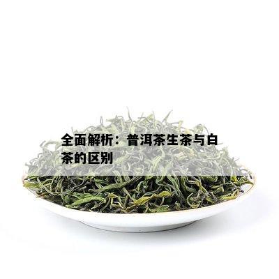 全面解析：普洱茶生茶与白茶的区别