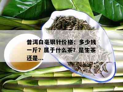 普洱白毫银针价格：多少钱一斤？属于什么茶？是生茶还是...