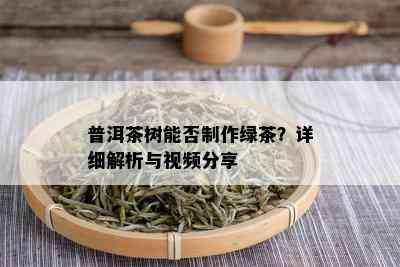 普洱茶树能否制作绿茶？详细解析与视频分享