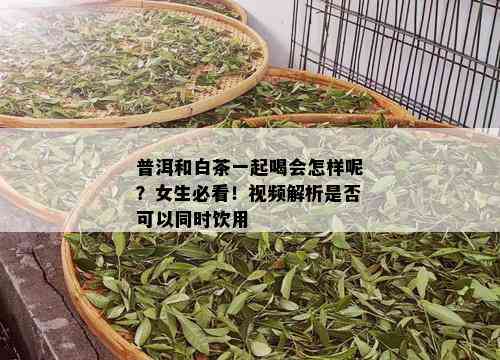 普洱和白茶一起喝会怎样呢？女生必看！视频解析是否可以同时饮用