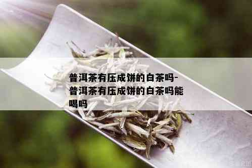 普洱茶有压成饼的白茶吗-普洱茶有压成饼的白茶吗能喝吗