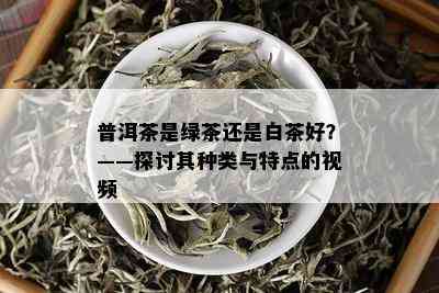 普洱茶是绿茶还是白茶好？——探讨其种类与特点的视频