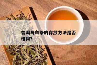 普洱与白茶的存放方法是否相同？