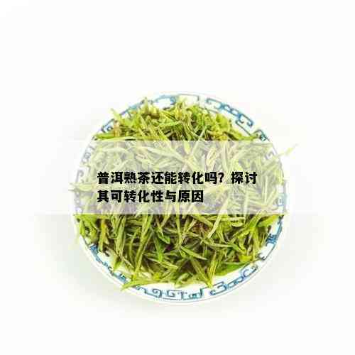 普洱熟茶还能转化吗？探讨其可转化性与原因