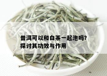 普洱可以和白茶一起泡吗？探讨其功效与作用