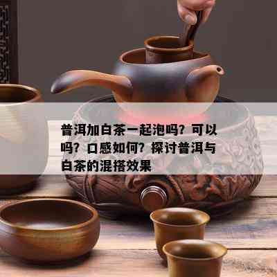 普洱加白茶一起泡吗？可以吗？口感如何？探讨普洱与白茶的混搭效果