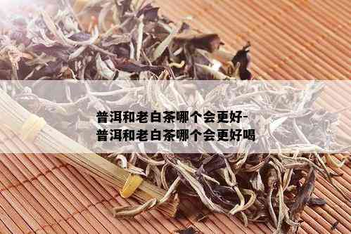 普洱和老白茶哪个会更好-普洱和老白茶哪个会更好喝