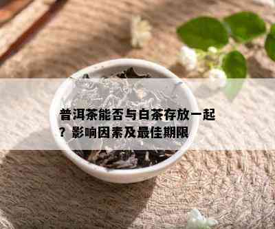 普洱茶能否与白茶存放一起？影响因素及更佳期限