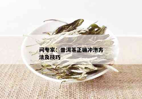 问专家：普洱茶正确冲泡方法及技巧