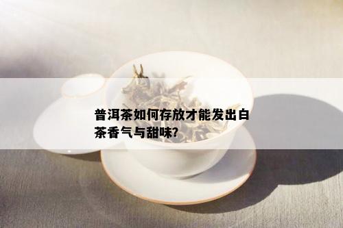 普洱茶如何存放才能发出白茶香气与甜味？