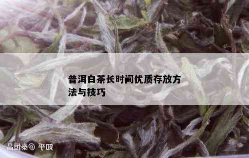 普洱白茶长时间优质存放方法与技巧