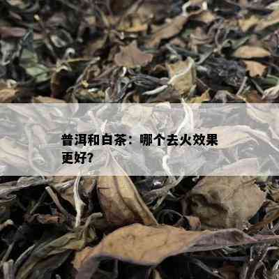 普洱和白茶：哪个去火效果更好？