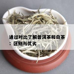 通过对比了解普洱茶和白茶：区别与优劣