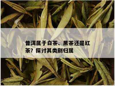 普洱属于白茶、黑茶还是红茶？探讨其类别归属