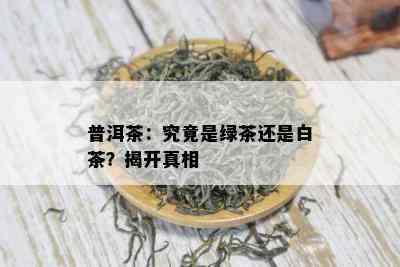 普洱茶：究竟是绿茶还是白茶？揭开真相