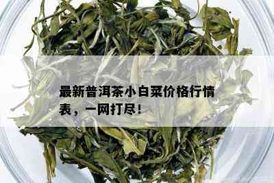 最新普洱茶小白菜价格行情表，一网打尽！