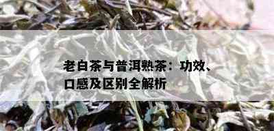 老白茶与普洱熟茶：功效、口感及区别全解析