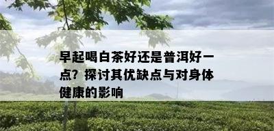 早起喝白茶好还是普洱好一点？探讨其优缺点与对身体健康的影响