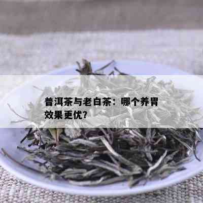 普洱茶与老白茶：哪个养胃效果更优？