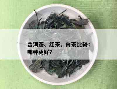 普洱茶、红茶、白茶比较：哪种更好？