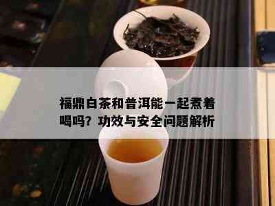 福鼎白茶和普洱能一起煮着喝吗？功效与安全问题解析