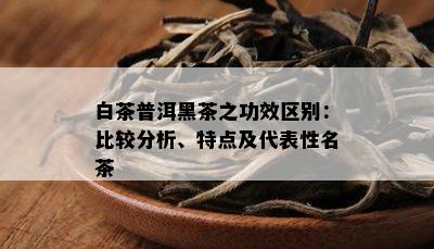 白茶普洱黑茶之功效区别：比较分析、特点及代表性名茶