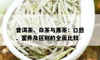 普洱茶、白茶与黑茶：口感、营养及区别的全面比较