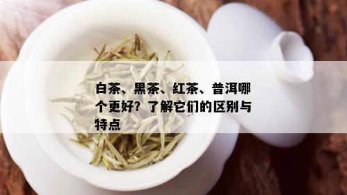 白茶、黑茶、红茶、普洱哪个更好？了解它们的区别与特点