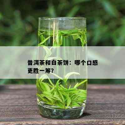 普洱茶和白茶饼：哪个口感更胜一筹？