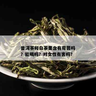 普洱茶和白茶里含有霉菌吗？能喝吗？对女性有害吗？