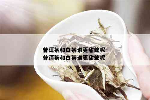 普洱茶和白茶谁更甜些呢-普洱茶和白茶谁更甜些呢