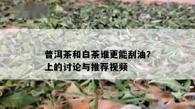 普洱茶和白茶谁更能刮油？上的讨论与推荐视频