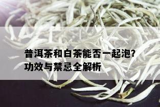 普洱茶和白茶能否一起泡？功效与禁忌全解析