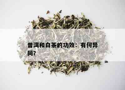 普洱和白茶的功效：有何异同？