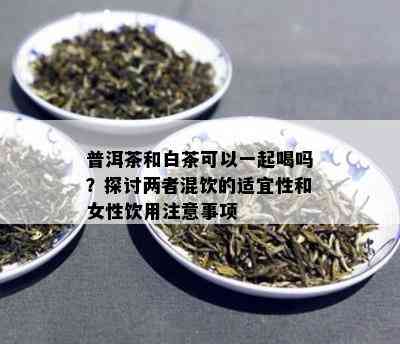 普洱茶和白茶可以一起喝吗？探讨两者混饮的适宜性和女性饮用注意事项