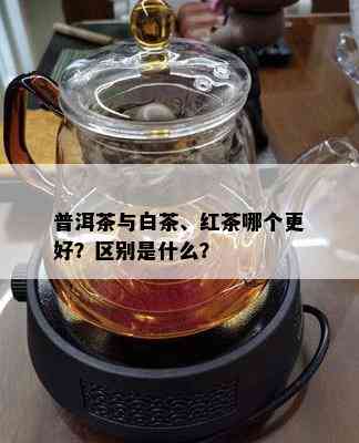 普洱茶与白茶、红茶哪个更好？区别是什么？