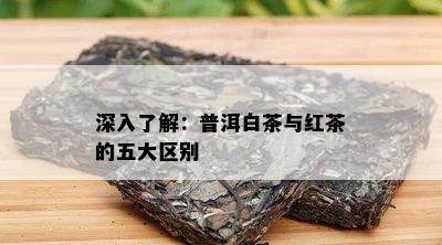 深入了解：普洱白茶与红茶的五大区别