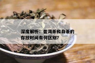 深度解析：普洱茶和白茶的存放时间有何区别？