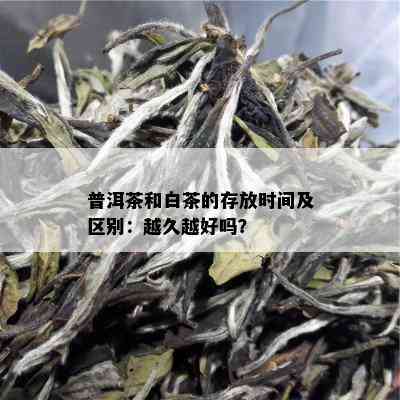 普洱茶和白茶的存放时间及区别：越久越好吗？