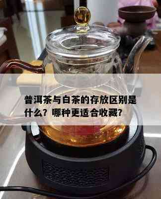 普洱茶与白茶的存放区别是什么？哪种更适合收藏？