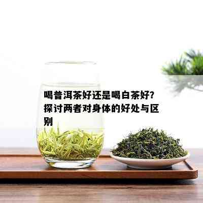 喝普洱茶好还是喝白茶好？探讨两者对身体的好处与区别