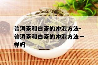 普洱茶和白茶的冲泡方法-普洱茶和白茶的冲泡方法一样吗