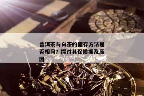 普洱茶与白茶的储存方法是否相同？探讨其保质期及原因