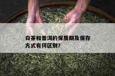 白茶和普洱的保质期及保存方式有何区别？