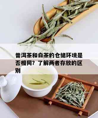 普洱茶和白茶的仓储环境是否相同？了解两者存放的区别