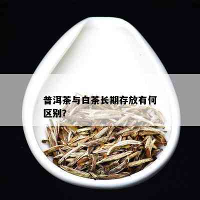 普洱茶与白茶长期存放有何区别？